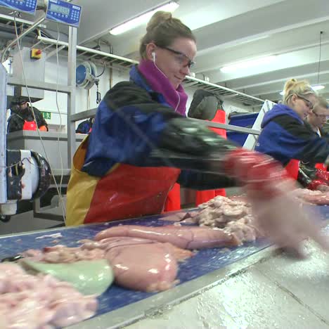 Frauen-Arbeiten-Beim-Schneiden-Und-Reinigen-Von-Fisch-Am-Fließband-In-Einer-Fischverarbeitungsfabrik