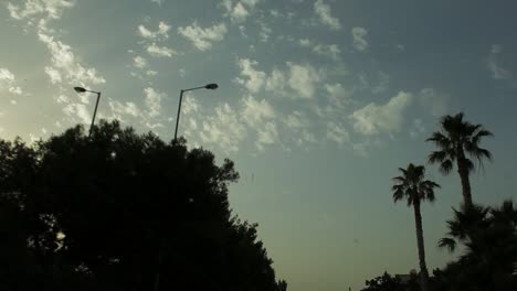 tiro de un coche, pasando bajo palmeras y nubes durante la hora mágica en atenas