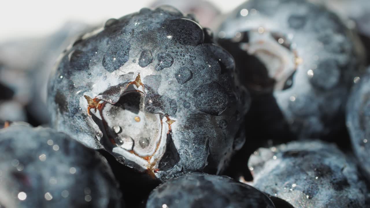 Blueberry berry background, Macro Water drops on ripe blueberries.