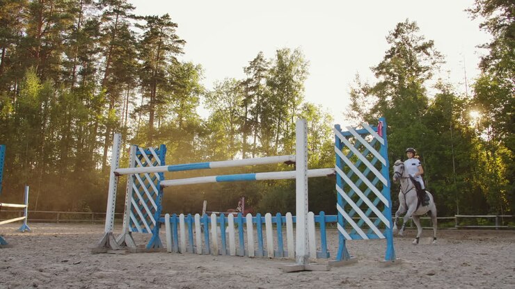 das junge mädchen ist im schauspringen und reiten tätig. sie demonstriert ihre fähigkeiten im hürdenrennen mit einem pferd im pferdeklub.