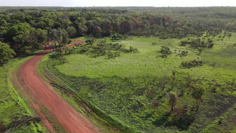 High-Moving-drone-shot-of-Dense-Green-Bushland-near-Homles-Jungle-Nature-Park,-Darwin,-Northern-Territory