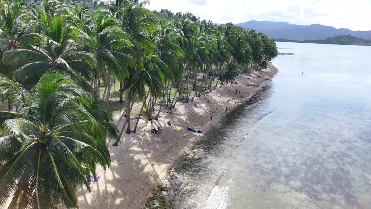 Amazing drone reveal over palm tree to picturesque Coconut Beach, Port Barton, Palawan.