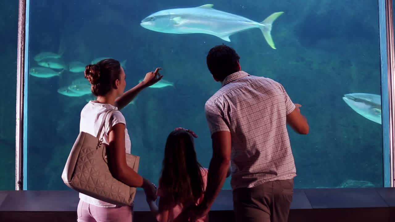 familia feliz mirando a los peces en el tanque