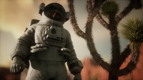 astronauta en el alto desierto de nevada