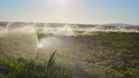 el riego en el campo en cámara lenta.