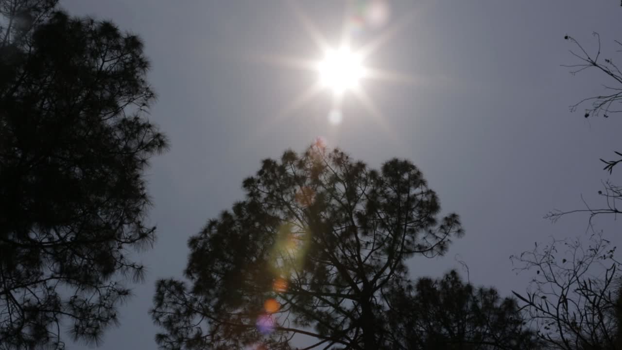 sol en el cielo, rayos de sol que hacen que los árboles y la vista sean más hermosos en las montañas del alto himalaya, uttarakhand, india
