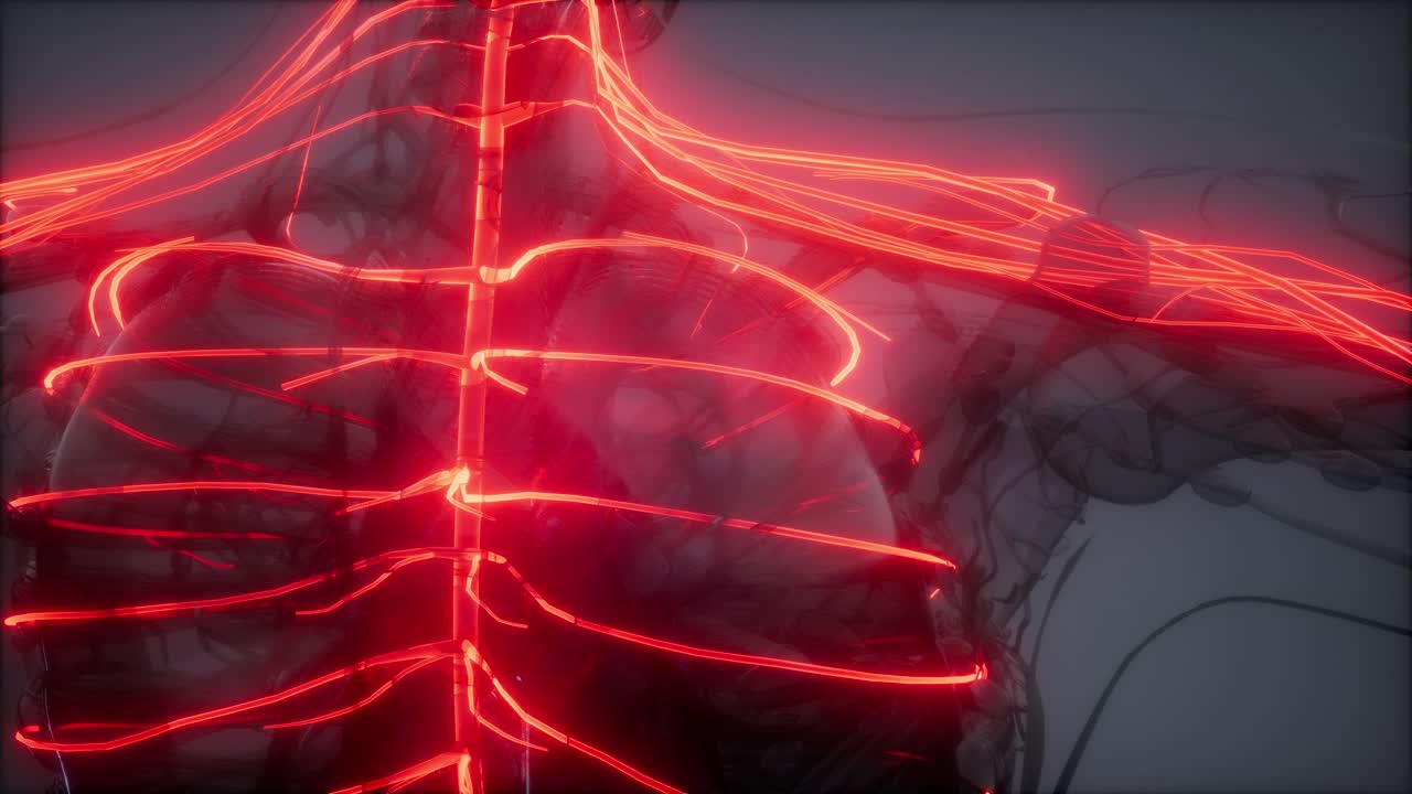 인간 뇌 방사선 검사