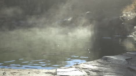 steamy smoke from idaho hot springs with fishes moving around