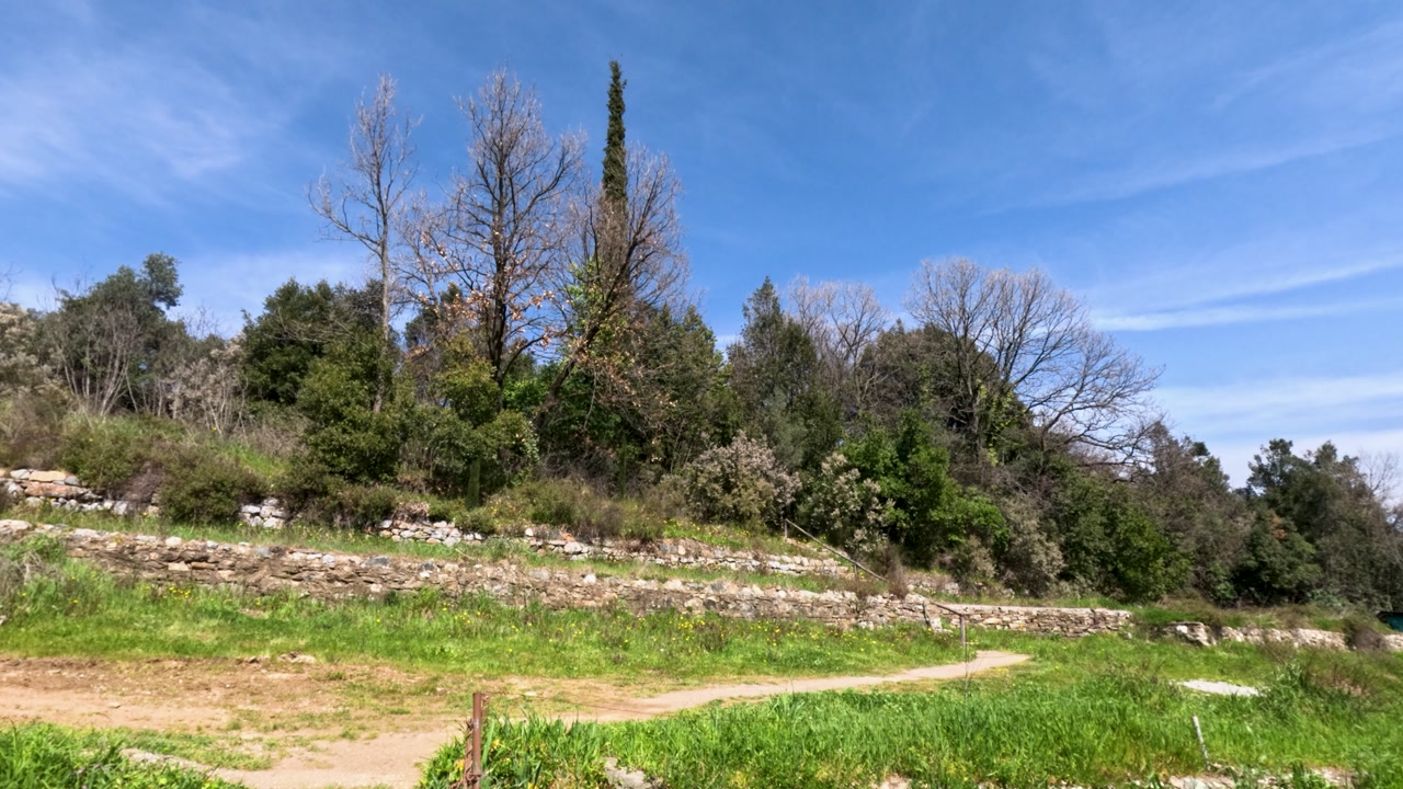 A person walks down a dirt path surrounded by trees and shrubs. The sun shines brightly in a clear blue sky. The ground is green with weeds and small flowers.