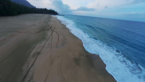 cinematic wild nature aerial 4k