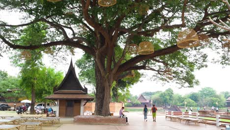 visitors strolling through serene temple grounds