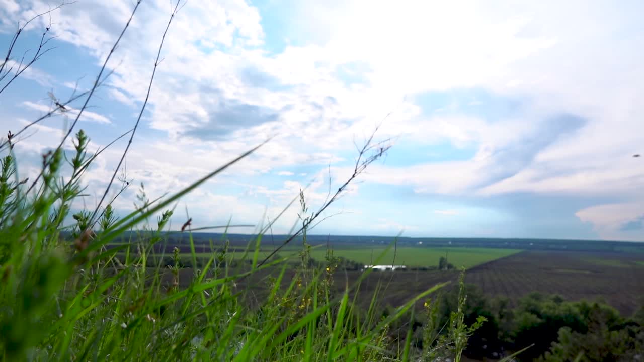 잔디과 구름이 가득한 하늘이 있는 시골 풍경
