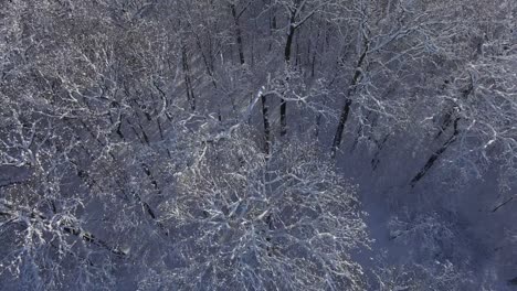 la atmósfera navideña. el aspecto mágico del invierno.