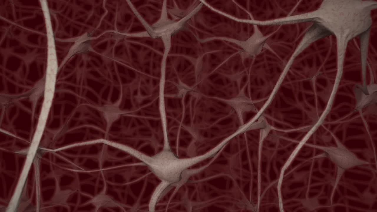 neuronas cerebro mente axón pensamiento red neuronal dendrita célula ciencia de la salud 4k