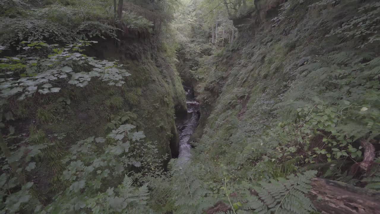 hermosa vista del cañón verde en el bosque en escocia, reino unido