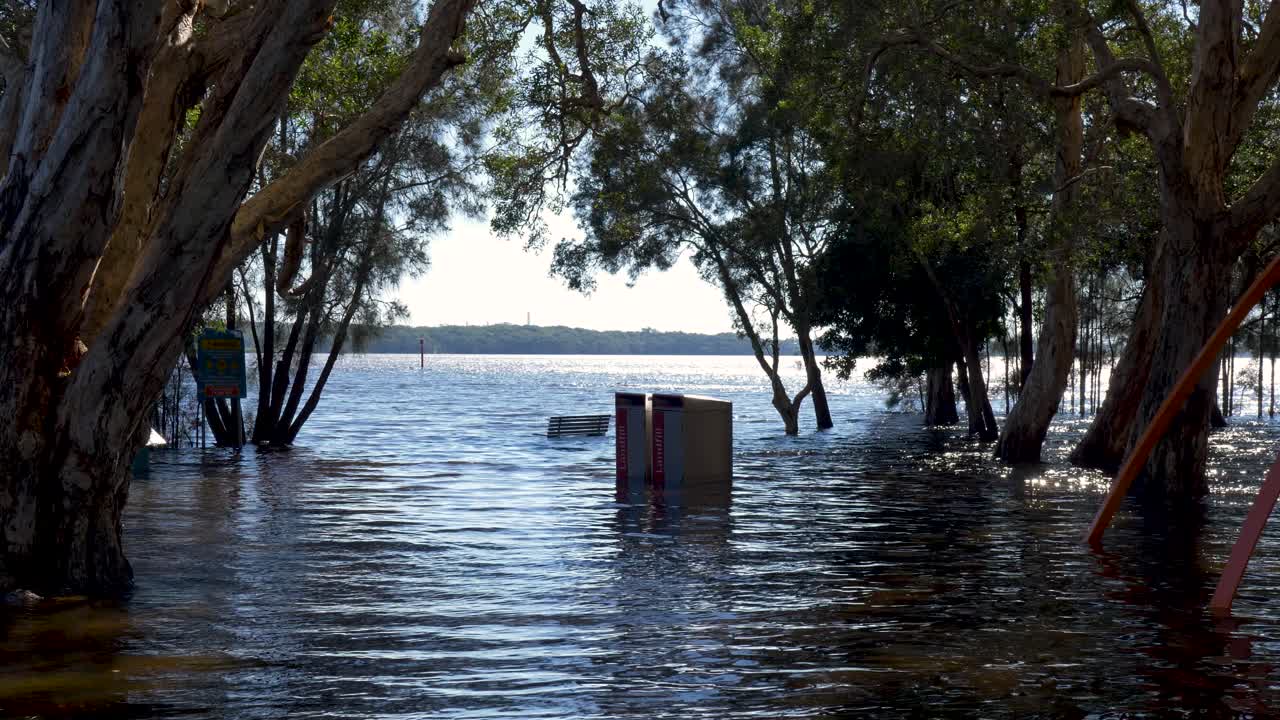 Slow motion landscape of two rubbish trash bins underwater in park with trees flooding disaster in suburban rural town of Toukley Lake Munmorah Australia outdoors hazard risk damage emergency river