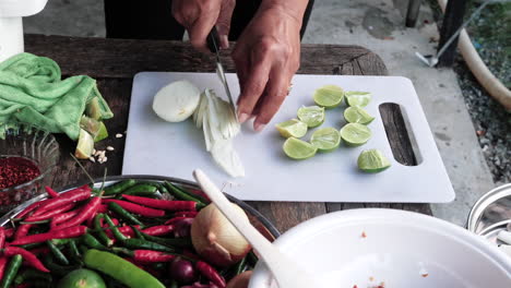 outdoor kitchen woman hands with knife slicing onions - colorful ingredients on table