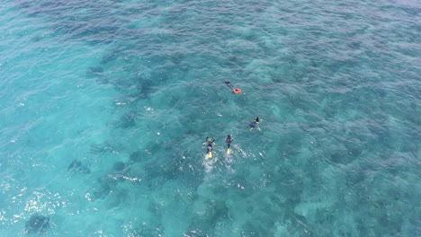 scuba diving in turquoise waters