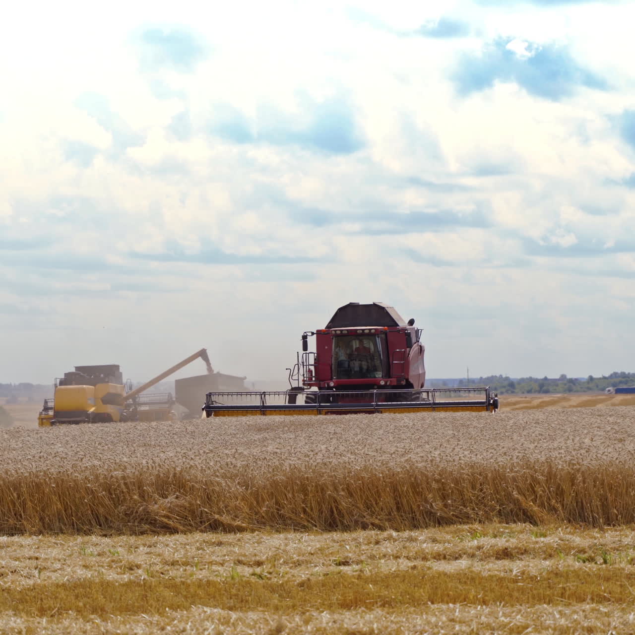 Agricultural machinery at seasonal works. Big combine harvester gathers wheat crop in a sunny summer day. Wheat harvesting process.
