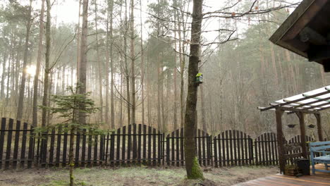 Drone-fly-in-towards-the-wooden-fence,-the-sun-penetrates-the-trees-in-the-forest,-aerial-smooth