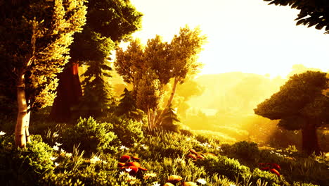 cartoon flowering green forest on sunset