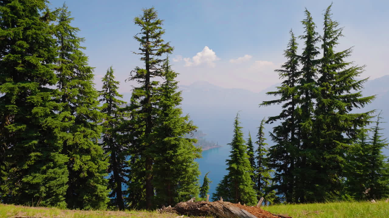 Crater Lake National Park: Scenic View of Blue Water and Evergreen Forests