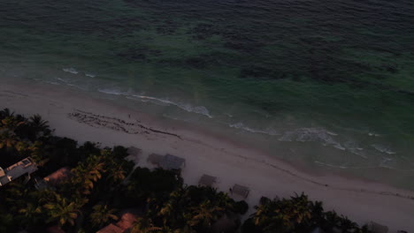 Aerial-shot-of-rolling-waves-in-a-white-sand-beach-with-palm-trees-and-cabins-and-huts-at-night-in-Tulum,-Mexico