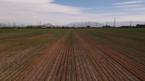 Fliegen-über-Offenes-Feld-In-Plantage-Mit-Blick-Auf-Das-Riesige-Zentrale-Tal-Von-Paine-Neben-Hochspannungsmasten