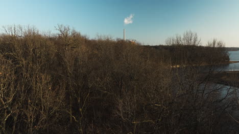 Bare-Trees-In-Lake-Swepco,-Arkansas,-USA---Drone-Shot