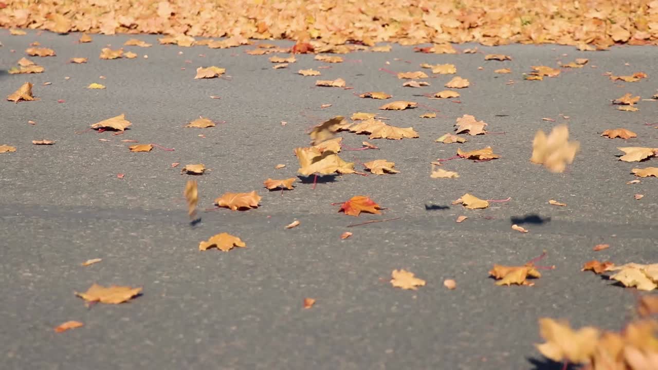Dry Winds Blowing In Wind In Slow Motion On-Road 10 Second Video