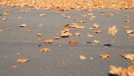 dry winds blowing in wind in slow motion on-road 10 second video