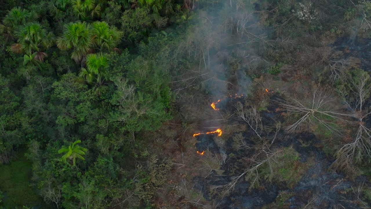 Vista aerea rotante di un incendio boschivo vicino alla giungla amazzonica