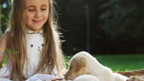 portrait of a nice little girl sitting on a blanket in the park and playing with a labrador puppy