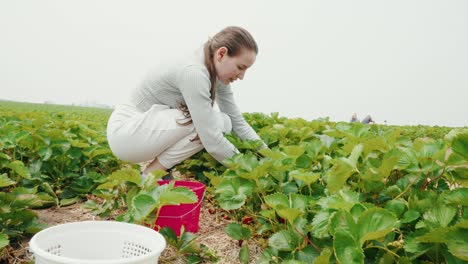 Hermosa-Joven-Buscando-Las-Mejores-Verduras-En-Una-Granja