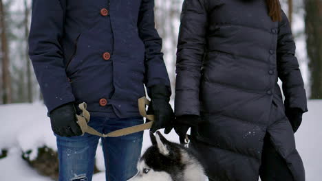 Ein-Mann-Und-Eine-Frau-Sitzen-Und-Umarmen-Einen-Hund,-Einen-Siberian-Husky,-Im-Winterwald,-Lächeln-Und-Schauen-Einander-Und-In-Die-Kamera.-Zeitlupe