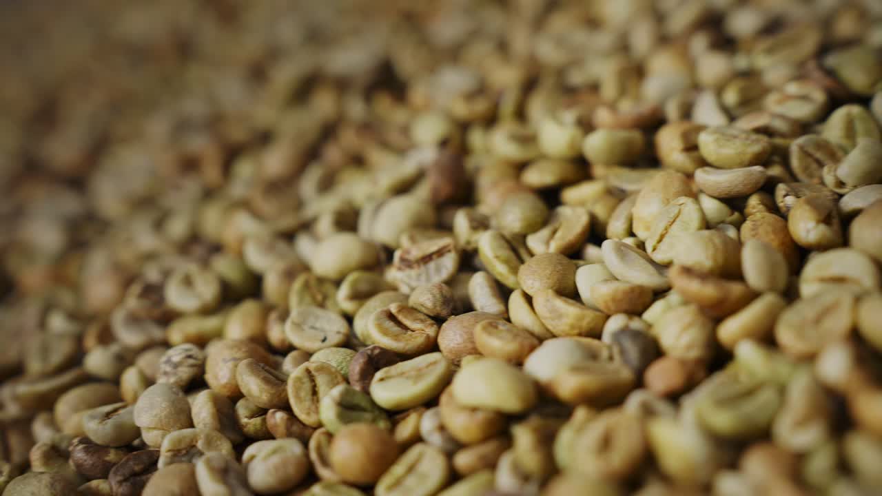Close-up view of green coffee beans