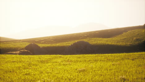 sunset over a grassy field with rocks and mountains in the background