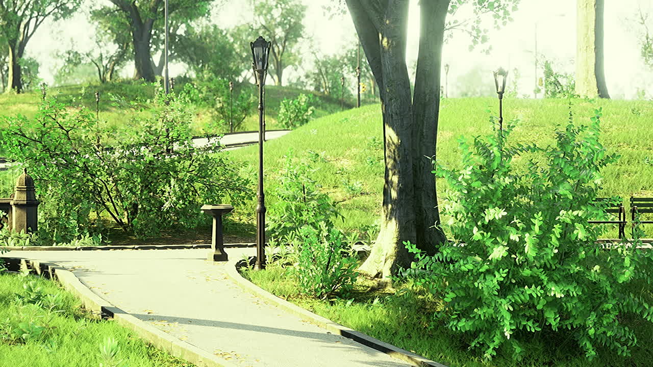 Bright green park path inviting exploration on a sunny day