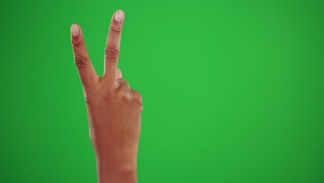 peace sign, icon and hand of person on green