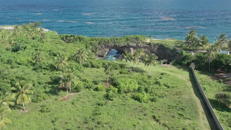 aerial forward over lush vegetation at la hondonada in samana peninsula, dominican republic