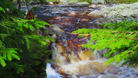 Korpreiret-Korpreiret-Ist-Der-Name-Einer-Mehrere-Kilometer-Langen,-Engen-Schlucht-Im-Fluss-Øksna-In-Der-Stadt-Løten,-Norwegen