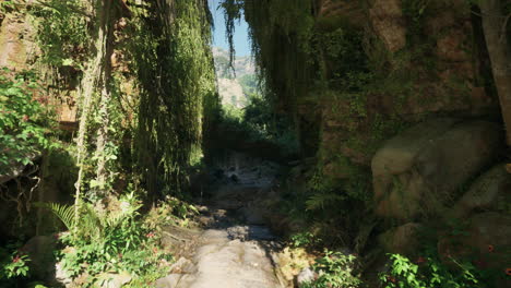 a narrow path through a lush jungle