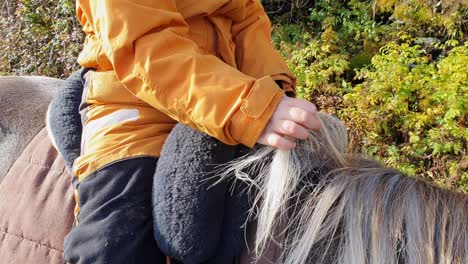 boy with autism gently strokes the horses mane during horseback riding in autumn sun - closeup of mane and child hand with no face