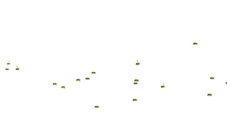 bee flying in beehive, honeybee with flying antenna. working insects and nature concept
