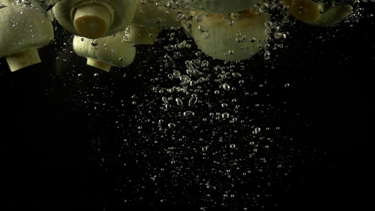 Caduta di funghi Champignon nell'acqua. Movimento rallentato. Sfondo nero.