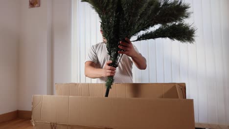 Padre-Soltero-Caucásico-Desempaquetando-El-árbol-De-Navidad-Listo-Para-La-Instalación-Ensamblando-El-árbol-De-Hoja-Perenne-Tradicional-Para-Celebrar-Las-Vacaciones-De-Invierno-En-Casa-Con-Su-Familia