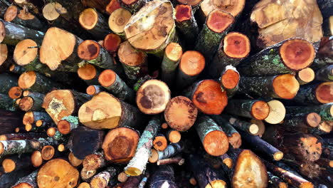 top shot of cut wooden logs stacked up