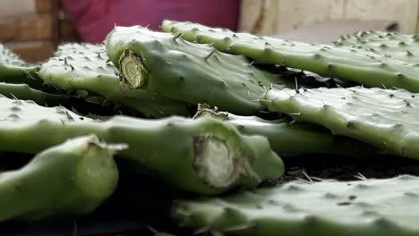 prickly pear pads