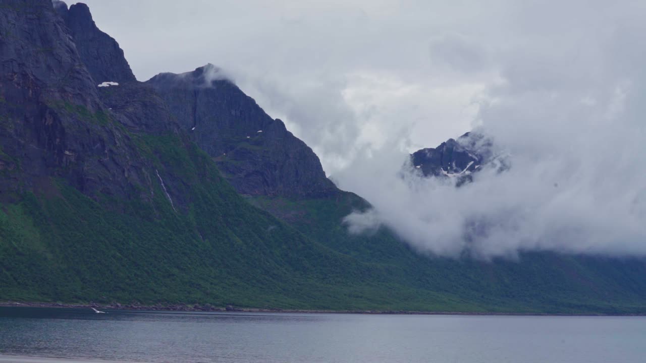 Ville fugler flyr over krusende hav ved de frodige, steinete fjellene på en tåkete dag.
