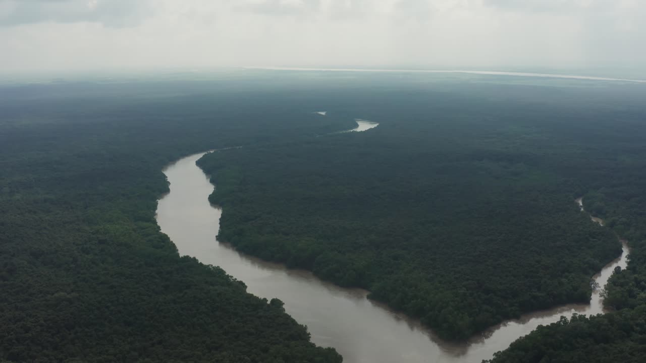 Overhead drone captures winding river slicing through dense mangrove jungle under hazy cloudy skies